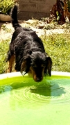 TEO Imagen 3